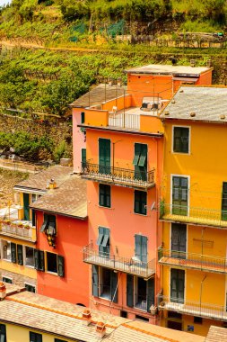 Manarola, İtalya - 5 Mayıs 2016: Manarola 'nın renkli mimarisi (Manaea), La Spezia, Liguria, İtalya. Unesco Dünya Mirası Listesi'ndeki Cinque Terre topraklarından biri.