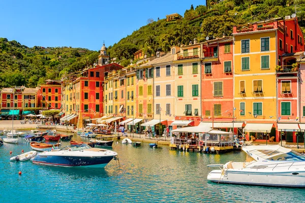 Portofino, İtalya - 4 Mayıs 2016: İtalyan balıkçı köyü Portofino'nun güzel limanı, Cenova eyaleti, İtalya. Ünlü ve sanatsal ziyaretçiler ile bir tatil beldesi.