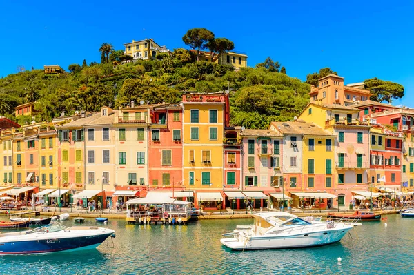 Portofino, İtalya - 4 Mayıs 2016: İtalyan balıkçı köyü Portofino'nun güzel limanı, Cenova eyaleti, İtalya. Ünlü ve sanatsal ziyaretçiler ile bir tatil beldesi.