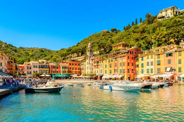 Portofino, İtalya - 4 Mayıs 2016: İtalyan balıkçı köyü Portofino'nun güzel limanı, Cenova eyaleti, İtalya. Ünlü ve sanatsal ziyaretçiler ile bir tatil beldesi.