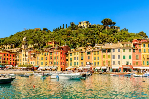 Portofino, İtalya - 4 Mayıs 2016: İtalyan balıkçı köyü Portofino'nun güzel limanı, Cenova eyaleti, İtalya. Ünlü ve sanatsal ziyaretçiler ile bir tatil beldesi.