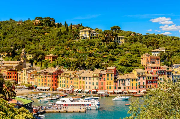 Portofino, İtalya - 4 Mayıs 2016: İtalyan balıkçı köyü Portofino'nun panoramik manzarası, Cenova eyaleti, İtalya. Ünlü ve sanatsal ziyaretçiler ile bir tatil beldesi.