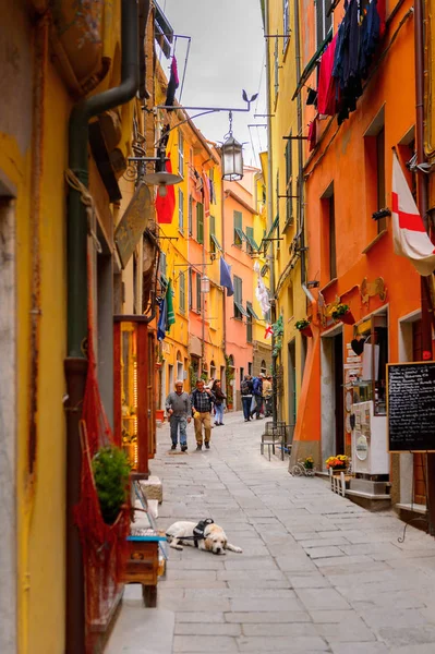 Porto Venere, İtalya - 5 Mayıs 2016: Porto Venere ana caddesi, İtalya. P Venere ve Cinque Terre köyleri Unesco Dünya Mirası.
