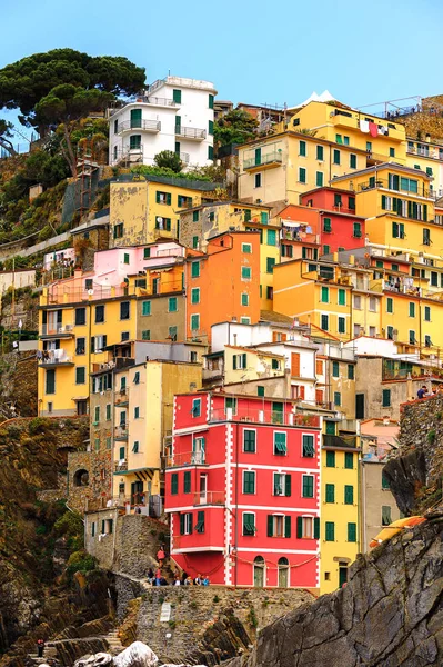 Riomaggiore, İtalya - 5 Mayıs 2016: Riomaggiore, La Spezia eyaletinde bir köy, Liguria, İtalya. Unesco Dünya Mirası Listesi'ndeki Cinque Terre topraklarından biri.
