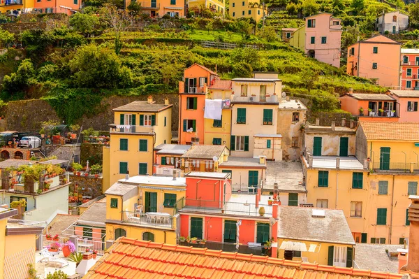 Riomaggiore Talya Mayıs 2016 Riomaggiore Rimazuu Talya Nın Liguria Eyaletinin — Stok fotoğraf