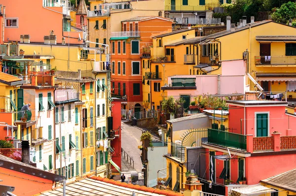 Riomaggiore, İtalya - 5 Mayıs 2016: Riomaggiore Evleri, La Spezia eyaletinde bir köy, Liguria, İtalya. Unesco Dünya Mirası Listesi'ndeki Cinque Terre topraklarından biri.