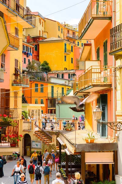 Manarola, İtalya - 5 Mayıs 2016: Ana cadde ve Manarola (Manaea), La Spezia, Liguria, İtalya mimarisi. Unesco Dünya Mirası Listesi'ndeki Cinque Terre topraklarından biri.