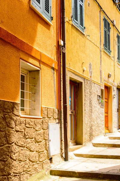 Manarola, İtalya - 5 Mayıs 2016: Manarola 'nın renkli mimarisi (Manaea), La Spezia, Liguria, İtalya. Unesco Dünya Mirası Listesi'ndeki Cinque Terre topraklarından biri.