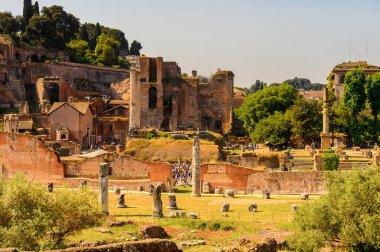 Roma, İtalya - 7 Mayıs 2016: Roma Forumu, Roma şehir merkezinde ki birçok önemli antik hükümet binasının kalıntılarıyla çevrili dikdörtgen bir forum.