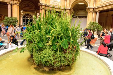 Vatikan, Vatikan - 7 Mayıs 2016: Vatikan Müzesi. 1506 yılında kurulmuştur.