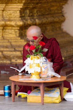 Yangon, Myanmar - 24 Ağustos 2016: Tanımlanamayan Birmanyalı Budist keşiş tapınakta kitap okuyor. Myanma halkının yüzde 68'i Bamar etnik grubuna mensandı
