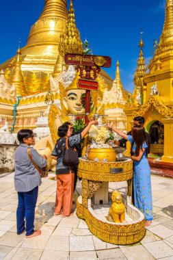 Yangon, Myanmar - 24 Ağustos 2016: Shwedagon Pagoda'nın çevresi, Singuttara Tepesi'nde yaldızlı bir stupa, Kandawgyi Gölü, Yangon, Myanmar