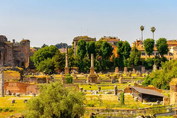 Roma, İtalya - 7 Mayıs 2016: Roma Forumu, Roma şehir merkezinde ki birçok önemli antik hükümet binasının kalıntılarıyla çevrili dikdörtgen bir forum.