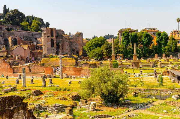 Roma, İtalya - 7 Mayıs 2016: Roma Forumu, Roma şehir merkezinde ki birçok önemli antik hükümet binasının kalıntılarıyla çevrili dikdörtgen bir forum.