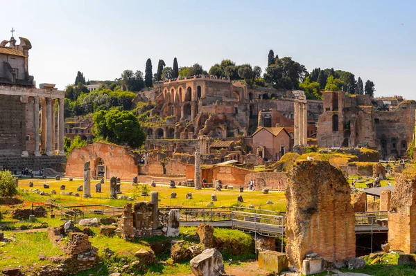Roma, İtalya - 7 Mayıs 2016: Roma Forumu, Roma şehir merkezinde ki birçok önemli antik hükümet binasının kalıntılarıyla çevrili dikdörtgen bir forum.