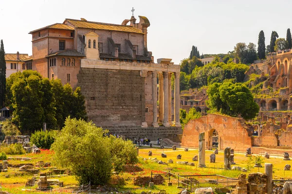 Roma Italia Maggio 2016 Foro Romano Foro Rettangolare Circondato Dalle — Foto Stock