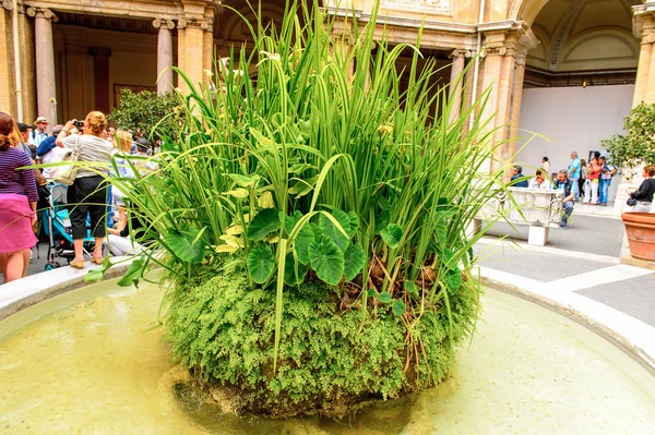 Vatikan, Vatikan - 7 Mayıs 2016: Vatikan Müzesi. 1506 yılında kurulmuştur.