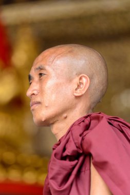 Yangon, Myanmar - 24 Ağustos 2016: Tanımlanamayan Birmanyalı Budist keşiş portresi. Myanma halkının yüzde 68'i Bamar etnik grubuna mensandı