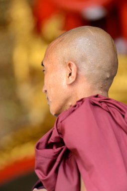 Yangon, Myanmar - 24 Ağustos 2016: Tanımlanamayan Birmanyalı Budist keşiş portresi. Myanma halkının yüzde 68'i Bamar etnik grubuna mensandı