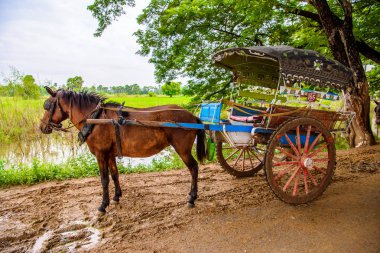 Inwa, Myanmar - 25 Ağustos 2016: Inwa, Mandalay Region, Burma yolu üzerindeki bir köyde at arabası. Bu da turistler için bir taksi seçeneği