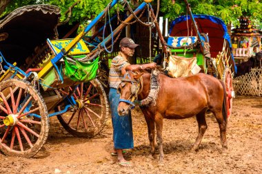 Inwa, Myanmar - Ağu 25, 2016: Tanımlanamayan Buemes adam Inwa, Mandalay Bölgesi, Burma yolunda bir köyde bir at yol için bir at hazırlar. Bu da turistler için bir taksi seçeneği