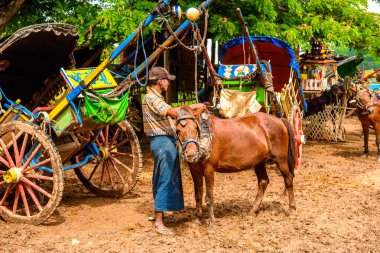 Inwa, Myanmar - Ağu 25, 2016: Tanımlanamayan Buemes adam Inwa, Mandalay Bölgesi, Burma yolunda bir köyde bir at yol için bir at hazırlar. Bu da turistler için bir taksi seçeneği