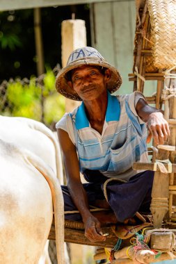 Mingun, Myanmar - 26 Ağustos 2016: Tanımlanamayan Birmanyalı adam taksi hizmeti sunuyor. Myanma halkının yüzde 68'i Bamar etnik grubuna mensandı