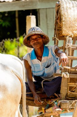 Mingun, Myanmar - 26 Ağustos 2016: Tanımlanamayan Birmanyalı adam taksi hizmeti sunuyor. Myanma halkının yüzde 68'i Bamar etnik grubuna mensandı