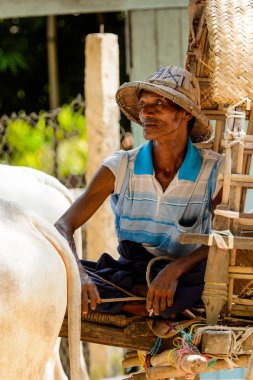 Mingun, Myanmar - 26 Ağustos 2016: Tanımlanamayan Birmanyalı adam taksi hizmeti sunuyor. Myanma halkının yüzde 68'i Bamar etnik grubuna mensandı