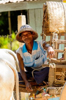 Mingun, Myanmar - 26 Ağustos 2016: Tanımlanamayan Birmanyalı adam taksi hizmeti sunuyor. Myanma halkının yüzde 68'i Bamar etnik grubuna mensandı