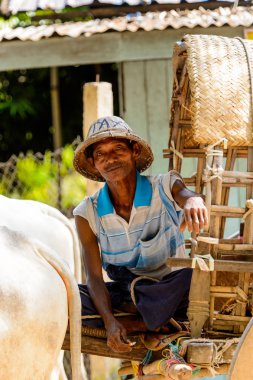 Mingun, Myanmar - 26 Ağustos 2016: Tanımlanamayan Birmanyalı adam taksi hizmeti sunuyor. Myanma halkının yüzde 68'i Bamar etnik grubuna mensandı