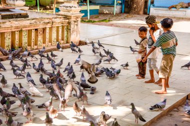 Monywa, Myanmar - 27 Ağustos 2016: Tanımlanamayan Birmanyalı çocuklar güvercinleri besliyor. Myanma halkının yüzde 68'i Bamar etnik grubuna mensandı