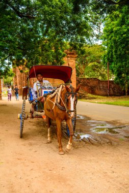 Bagan, Myanmar - 29 Ağustos 2016: Bagan Arkeoloji Bölgesi'nde at arabası, Burma. Myanmar'ın ana sitelerinden biri.