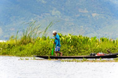 Inle Lake, Myanmar - 30 Ağustos 2016: Myanmar'ın Shan Eyaletinin Taunggyi İlçesi'nin Nyaungshwe İlçesi'nde bulunan bir tatlı su gölü olan Inle Sap'ın üzerinde bambu teknede bulunan tanımlanamayan Birmanyalı adam