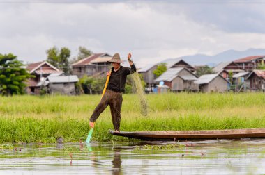 Inle Lake, Myanmar - 30 Ağustos 2016: Myanmar'ın Shan Eyaletinin Taunggyi İlçesi'nin Nyaungshwe İlçesi'nde bulunan bir tatlı su gölü olan Inle Sap'ın üzerinde bambu teknede bulunan tanımlanamayan Birmanyalı adam