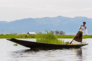 Inle Lake, Myanmar - 30 Ağustos 2016: Myanmar'ın Shan Eyaletinin Taunggyi İlçesi'nin Nyaungshwe İlçesi'nde bulunan bir tatlı su gölü olan Inle Sap'ın üzerinde bambu teknede bulunan tanımlanamayan Birmanyalı adam