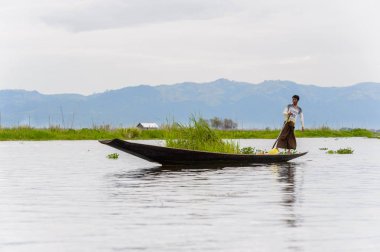 Inle Lake, Myanmar - 30 Ağustos 2016: Myanmar'ın Shan Eyaletinin Taunggyi İlçesi'nin Nyaungshwe İlçesi'nde bulunan bir tatlı su gölü olan Inle Sap'ın üzerinde bambu teknede bulunan tanımlanamayan Birmanyalı adam