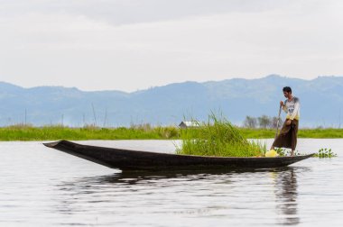 Inle Lake, Myanmar - 30 Ağustos 2016: Myanmar'ın Shan Eyaletinin Taunggyi İlçesi'nin Nyaungshwe İlçesi'nde bulunan bir tatlı su gölü olan Inle Sap'ın üzerinde bambu teknede bulunan tanımlanamayan Birmanyalı adam
