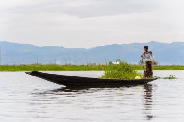 Inle Lake, Myanmar - 30 Ağustos 2016: Myanmar'ın Shan Eyaletinin Taunggyi İlçesi'nin Nyaungshwe İlçesi'nde bulunan bir tatlı su gölü olan Inle Sap'ın üzerinde bambu teknede bulunan tanımlanamayan Birmanyalı adam