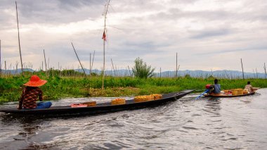 Inle Lake, Myanmar - Ağu 30, 2016: Bambu tekne kimliği belirsiz Birmanya kız Inle Sap üzerinde yelken, Shan Eyaleti Taunggyi İlçesi Nyaungshwe İlçesi'nde bulunan bir tatlı su gölü, Myanmar
