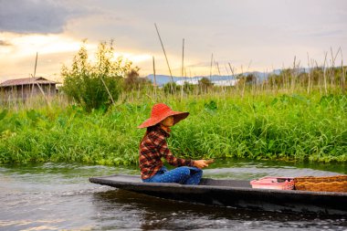 Inle Lake, Myanmar - Ağu 30, 2016: Bambu tekne kimliği belirsiz Birmanya kız Inle Sap üzerinde yelken, Shan Eyaleti Taunggyi İlçesi Nyaungshwe İlçesi'nde bulunan bir tatlı su gölü, Myanmar