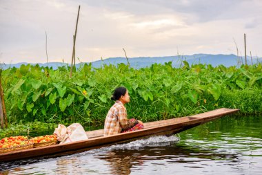 Inle Lake, Myanmar - Ağu 30, 2016: Bambu tekne kimliği belirsiz Birmanya kız Inle Sap üzerinde yelken, Shan Eyaleti Taunggyi İlçesi Nyaungshwe İlçesi'nde bulunan bir tatlı su gölü, Myanmar