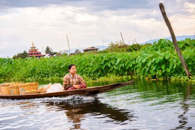 Inle Lake, Myanmar - Ağu 30, 2016: Bambu tekne kimliği belirsiz Birmanya kız Inle Sap üzerinde yelken, Shan Eyaleti Taunggyi İlçesi Nyaungshwe İlçesi'nde bulunan bir tatlı su gölü, Myanmar