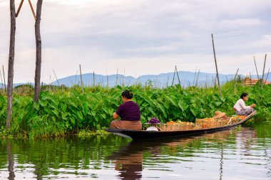 Inle Lake, Myanmar - 30 Ağustos 2016: Myanmar'ın Shan Eyaletinin Taunggyi İlçesi'nin Nyaungshwe İlçesi'nde bulunan bir tatlı su gölü olan Inle Sap'ın üzerinde bambu teknede bulunan tanımlanamayan Birmanyalı kadınlar