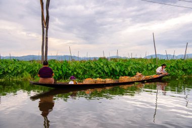 Inle Lake, Myanmar - 30 Ağustos 2016: Myanmar'ın Shan Eyaletinin Taunggyi İlçesi'nin Nyaungshwe İlçesi'nde bulunan bir tatlı su gölü olan Inle Sap'ın üzerinde bambu teknede bulunan tanımlanamayan Birmanyalı kadınlar