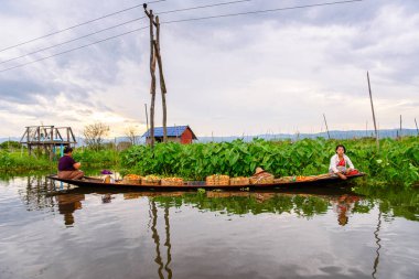 Inle Lake, Myanmar - 30 Ağustos 2016: Myanmar'ın Shan Eyaletinin Taunggyi İlçesi'nin Nyaungshwe İlçesi'nde bulunan bir tatlı su gölü olan Inle Sap'ın üzerinde bambu teknede bulunan tanımlanamayan Birmanyalı kadınlar