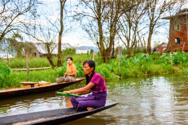 Inle Lake, Myanmar - 30 Ağustos 2016: Myanmar'ın Shan Eyaletinin Taunggyi İlçesi'nin Nyaungshwe İlçesi'nde bulunan bir tatlı su gölü olan Inle Sap'ın üzerinde bambu teknede bulunan tanımlanamayan Birmanyalı kadın