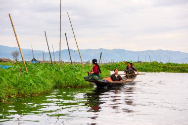 Inle Lake, Myanmar - 30 Ağustos 2016: Myanmar'ın Shan Eyaletinin Taunggyi İlçesi'nin Nyaungshwe İlçesi'nde bulunan bir tatlı su gölü olan Inle Sap'ın üzerinde bambu teknede bulunan tanımlanamayan Birmanyalı kadın
