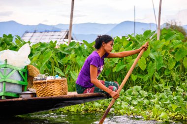 Inle Lake, Myanmar - Ağu 30, 2016: Bambu tekne kimliği belirsiz Birmanya kız Inle Sap üzerinde yelken, Shan Eyaleti Taunggyi İlçesi Nyaungshwe İlçesi'nde bulunan bir tatlı su gölü, Myanmar