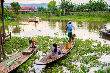 Inle Lake, Myanmar - 30 Ağustos 2016: Myanmar'ın Shan Eyaletinin Taunggyi İlçesi'nin Nyaungshwe İlçesi'nde bulunan bir tatlı su gölü olan Inle Sap'ın üzerinde bambu teknede bulunan tanımlanamayan Birmanyalı adam